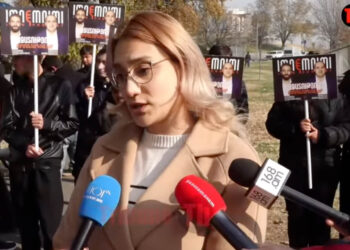 Մեր խնդիրն է ուղերձը հասցնել դեսպանին, որպեսզի չասեն՝ տեղեկացված չենք. տեսանյութ