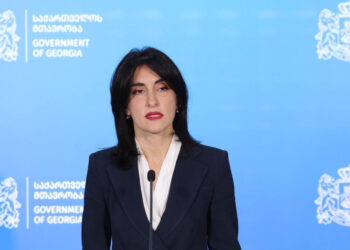 «Վրաստանը ողջունում է Ադրբեջանի և Հայաստանի միջև հարաբերությունների կարգավորման գործընթացի դինամիկան». Բոճորիշվիլի