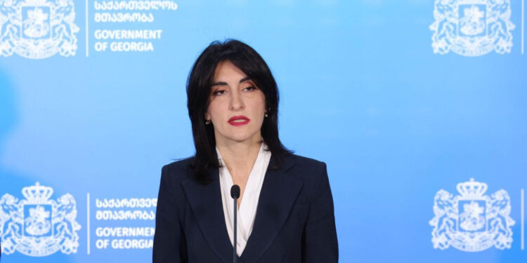 «Վրաստանը ողջունում է Ադրբեջանի և Հայաստանի միջև հարաբերությունների կարգավորման գործընթացի դինամիկան». Բոճորիշվիլի