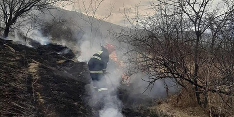 Դիլիջանի ոլորանների և «Լեռնային Հայաստան» առողջարանի մոտակայքում բռնկված hրդեհներն ամբողջությամբ մեկուսացված են. ՀՀ ՆԳՆ փրկարար ծառայություն