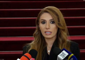 Կարապետյանն ընդամենը մեկ նախադասության համար քաղաքական հետապնդման է ենթարկվում. տեսանյութ