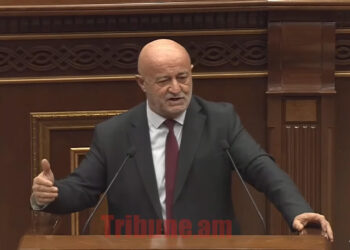 Թաքուն խոսում էի, հիմա սաղ աշխարհը խոսում է, ես չխոսե՞մ. Աղազարյանի միկրոֆոնն անջատեց ԱԺ նախագահը. տեսանյութ