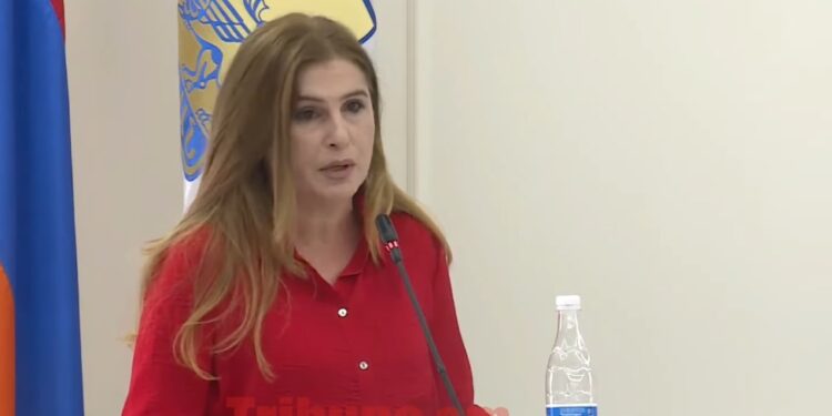 Երևանը դարձրել եք կթու կով, անուշ ախպերների բիզնեսի տարածք. Իզաբելլա Աբգարյան․ տեսանյութ