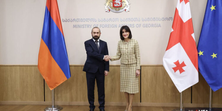 «Մեր երկրները հաջողությամբ համագործակցում են տարբեր ձևաչափերով և միջազգային կազմակերպություններում». Բոչորիշվիլին՝ Միրզոյանին