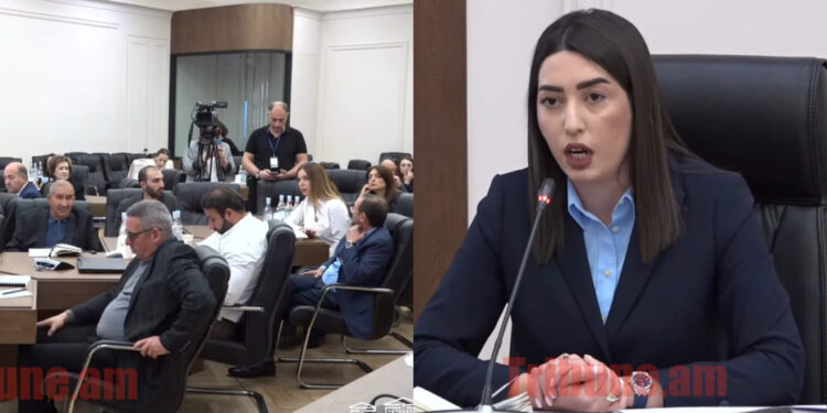 Մարդիկ գիտեն, որ մի քանի անգամ տանելու եք, բերեք, ու գողությունը չբացահայտվի. պատգամավորը՝ նախարարին. տեսանյութ