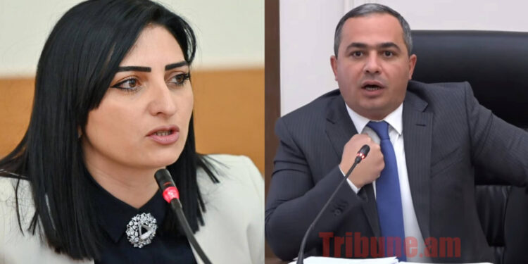 Ձեռնաշղթաներ եմ ձեզ նվեր բերել. պետք չի խաղալիք, ես դրա իսկականն ունեմ. Թովմասյանը՝ ՔԿ պետին. տեսանյութ