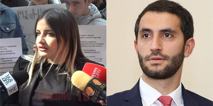 Ռուբինյանը շտապել էր ստանձնել Ալիևի փաստաբանի դերը. քաղաքացի. տեսանյութ