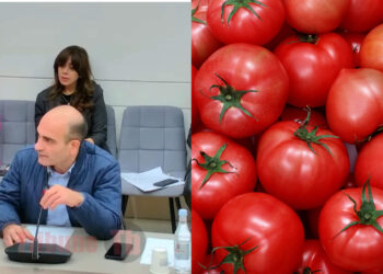 Թուրքական լոլիկը մեծ աջակցություն է ստացել ու ճնշում է մեր արտադրողներին. Ավետիսյան. տեսանյութ