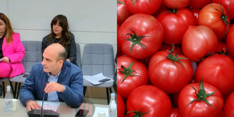 Թուրքական լոլիկը մեծ աջակցություն է ստացել ու ճնշում է մեր արտադրողներին. Ավետիսյան. տեսանյութ