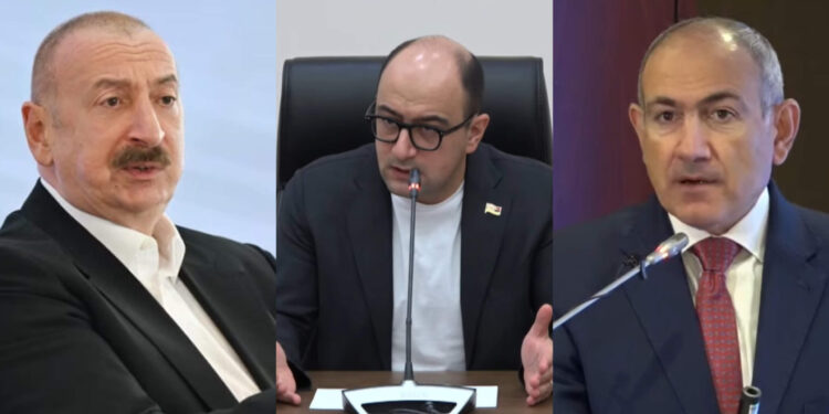 Փաշինյանը փաստացի կատարել է Ադրբեջանի բոլոր պահանջները. Մամիջանյան. տեսանյութ