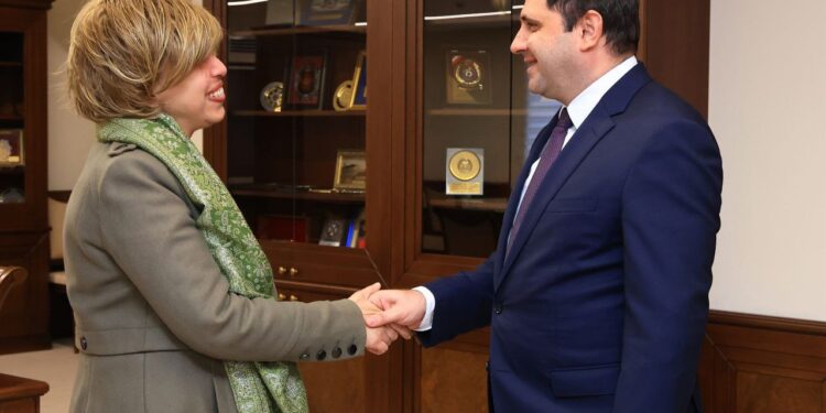 Պապիկյանն ու ՀՀ-ում Եգիպտոսի դեսպանը քննարկել են պաշտպանության բնագավառում համագործակցության հեռանկարներին առնչվող հարցեր