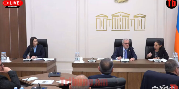 Աղջիկների էջերը տեղադրում են «Տելեգրամում» ու բուլինգի ենթարկում. տեսանյութ