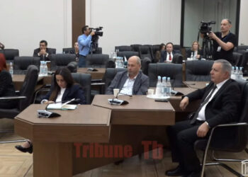 Ռեկետ ա. Ագնեսա Խամոյանը խայտառակ գործերը փռեց Քննչականի պետի սեղանին. տեսանյութ