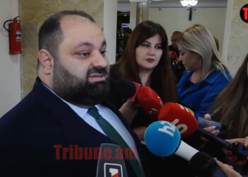 Ցորենը ցորեն չի՞, ինչի՞ պիտի ասեին, որ անասնակեր է. փոխնախարարը՝ մեծ աղմուկի մասին. տեսանյութ