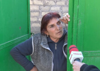 Իրանց համար ապագան եկել ա, բայց մեր համար չի եկել, գյուղում ի՞նչ ապագա. խնձորուտցի. տեսանյութ