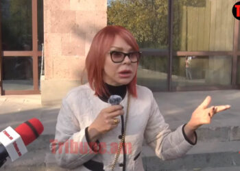 Մենք Մարզպետի հետ պատրաստվում ենք անել այն, ինչ ինքն արել է կատվի հետ. տեսանյութ