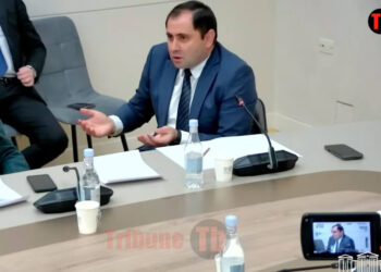 Որ խրոխտ ասում եք՝ բանակը կրճատվում ա, թվաբանություն ա էդ անտերը. Պապիկյան. տեսանյութ