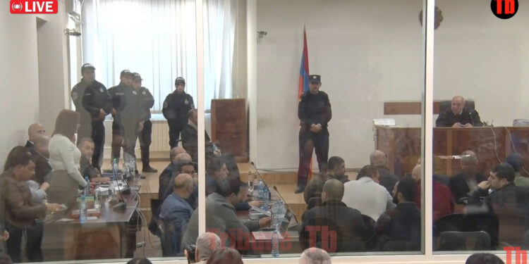 Օրենքները պահող եմ եղել, չեմ խախտի, Լիդյա Մանթաշյանի խափանման միջոցը փոխվեց. տեսանյութ