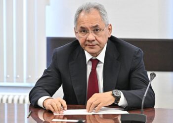 «Կարևոր է վերսկսել 3+3 հարթակի խորհրդատվական և տարածաշրջանային խմբի աշխատանքը». Շոյգու