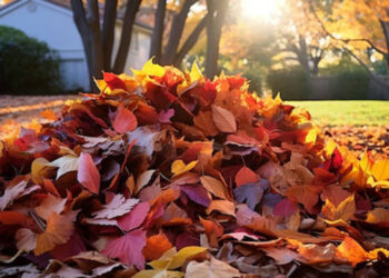 Տերևաթափից առաջացած թափոններն այրելն արգելվում է օրենքով. ԲԸՏՄ