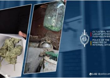 Շիրակի քրեական ոստիկանները հայտնաբերել են ապօրինի պահվող թմրամիջոցներ