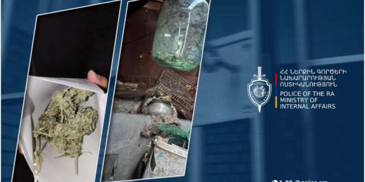 Շիրակի քրեական ոստիկանները հայտնաբերել են ապօրինի պահվող թմրամիջոցներ