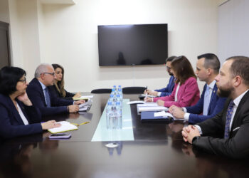 ԱԳ նախարարի տեղակալը ՆԱՏՕ-ի գլխավոր քարտուղարի հատուկ ներկայացուցչի հետ քննարկել է Արցախից տեղահանված կանանց կարիքների հասցեագրման կարևորությունը