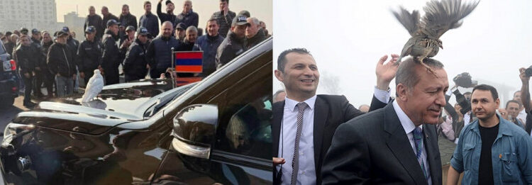 Որտեղի՞ց են վերցրել «աղավնի» տեխնոլոգիան. «Փաստ»