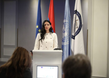 «Մարդու իրավունքների պաշտպանությունը սոսկ աշխատանք կամ ամենօրյա ձևական գործունեություն չէ, այլ իրական առաքելություն». ՄԻՊ