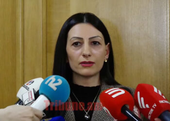 Գյումրիի դեպքերի հետ կապված պարզաբանումներ եմ ուզել. Մանասյան. տեսանյութ