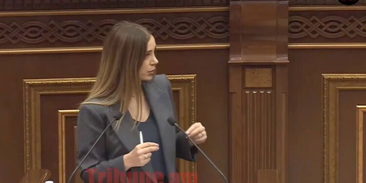 Անթույլատրելի է, որ զինծառայողը ստանա ավելի ցածր աշխատավարձ, քան պարեկը․ Գրիգորյան. տեսանյութ