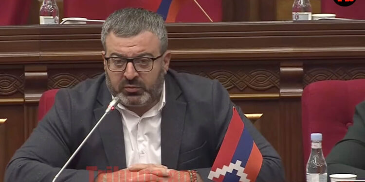 Մատաղ սերնդի հետ գործ ունենք, անչափահասների գծով տեսուչներ կային, վերլուծություններ արե՞լ եք դրանից. տեսանյութ