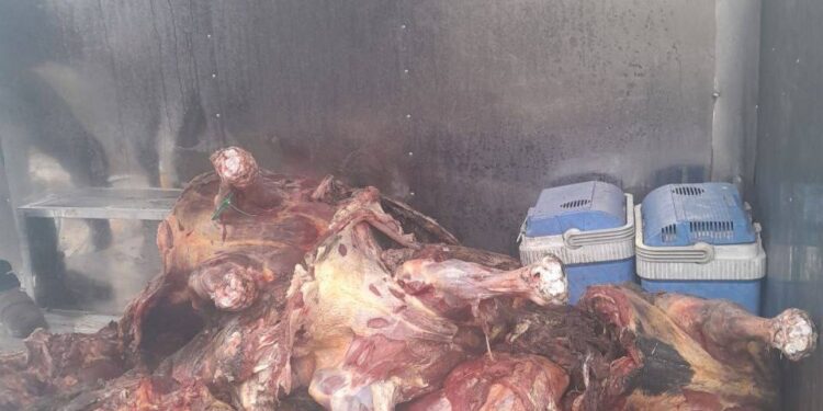 Երևանում և Վանաձորում հայտնաբերվել է անհայտ ծագման 965 կգ ձիու միս. կանխվել է իրացումը