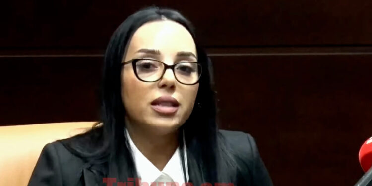 53 քննիչ զբաղված է ապօրինությամբ. Լիաննա Գասպարյան. տեսանյութ