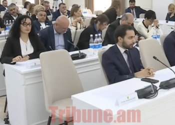 Մրո´տ եք, դուխ չունեք, դրա համար էլ չեք գնում խնդիրների հետևից,դուք խաբում եք երևանցիներին