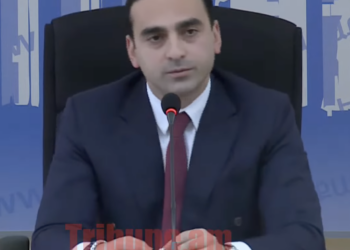 Վետերոկի մակարդակով վարձակալները չեն կարող այգիները պահպանել․ Ավինյան