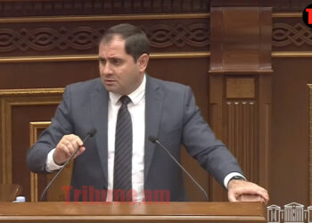 Սպասում էի, որ ԱԺ-ն կծափահարի, բայց չարեց․ Պապիկյանը՝ «Պաշտպան հայրենյաց» ծրագրի մասին. տեսանյութ