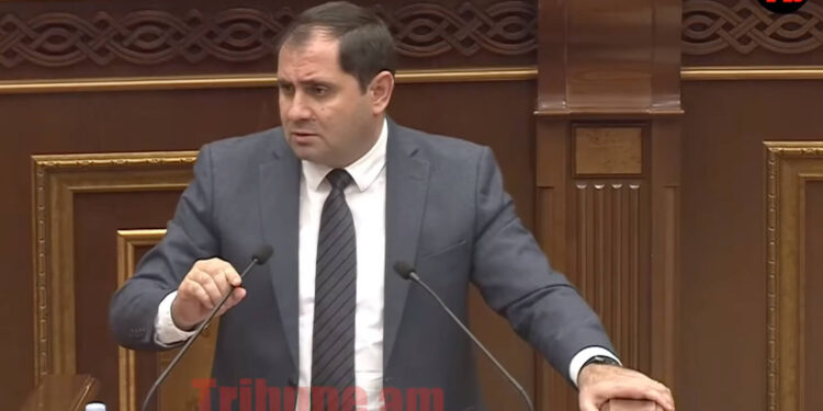 Սպասում էի, որ ԱԺ-ն կծափահարի, բայց չարեց․ Պապիկյանը՝ «Պաշտպան հայրենյաց» ծրագրի մասին. տեսանյութ