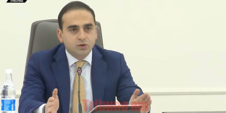 Մատով չպիտի ցույց տամ, եթե ասում եմ՝ տերև չպիտի վառվի, ոչ մի քաղաքապետարանի աշխատակից չպիտի վառի. Ավինյան. տեսանյութ