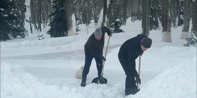 Լուկաշենկոն, նրա որդին և իր շպից ցեղատեսակի շունը դուրս են եկել Մինսկում ձյուն մաքրելու