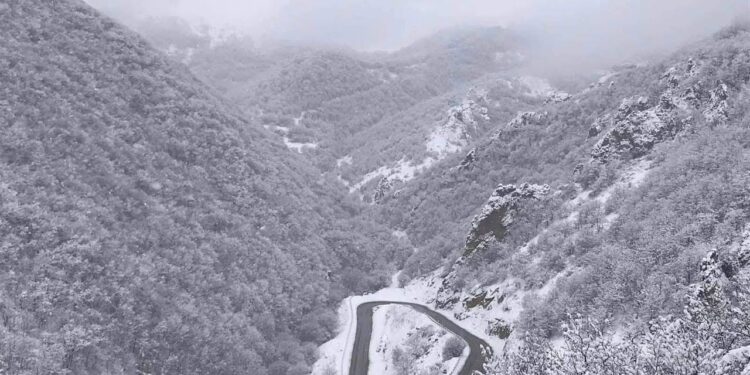 Խստագույնս պահպանել ճանապարհային երթևեկության կանոնները․ Ճանապարհային դեպարտամենտ