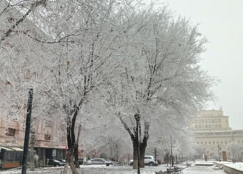 Առանձին շրջաններում սպասվում են ձյուն և բուք, օդի ջերմաստիճանը կբարձրանա 4-6 աստիճանով