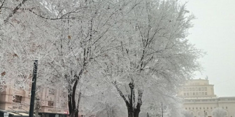 Առանձին շրջաններում սպասվում են ձյուն և բուք, օդի ջերմաստիճանը կբարձրանա 4-6 աստիճանով