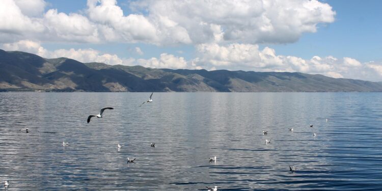 Սևանի մակարդակը կայուն է․ նոր տվյալներ հիդրոլոգիական ռեժիմի վերաբերյալ