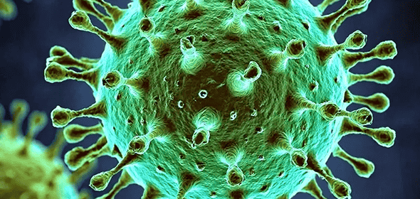 Նիպահ վիրուս․ ինչ պետք է իմանան Հայաստանի քաղաքացիները