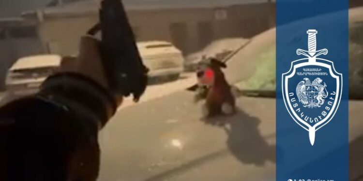 Հայտնաբերվել է ամանորի գիշերը խուլիգանություն կատարած քաղաքացին