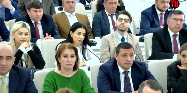 Ասում են՝ օդի որակի խնդիրը կվերանա, եթե Երևանը վերածվի մեծ անտառի, բայց դա այդպես չէ․ Ավինյան