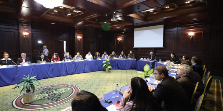 Հնարավորության պատուհան, որը պետք է բաց չթողնել. Նարեկ Մինասյան