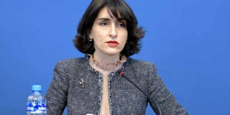 Նոր ճանապարհները կբարձրացնեն տարածաշրջանի նշանակությունը և չեն նվազեցնի Վրաստանի ռազմավարական դերը. Մակա Բոչորիշվիլի