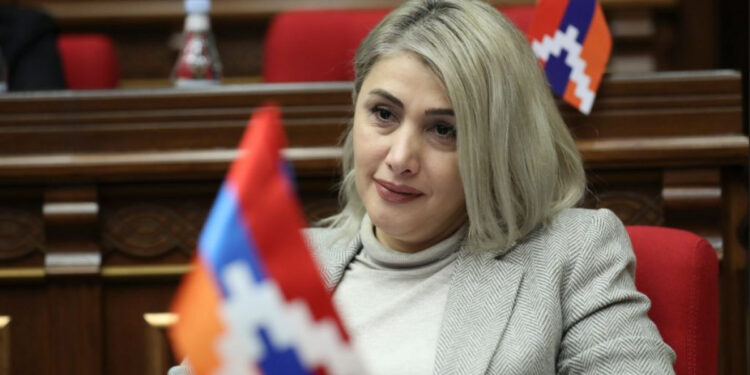 Էլինար Վարդանյանը՝ ՔԿՀ-ներում մահերի աճի և նախարարի պատասխանատվության մասին